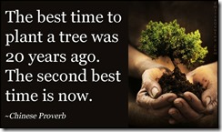 Plant a tree Plant a tree